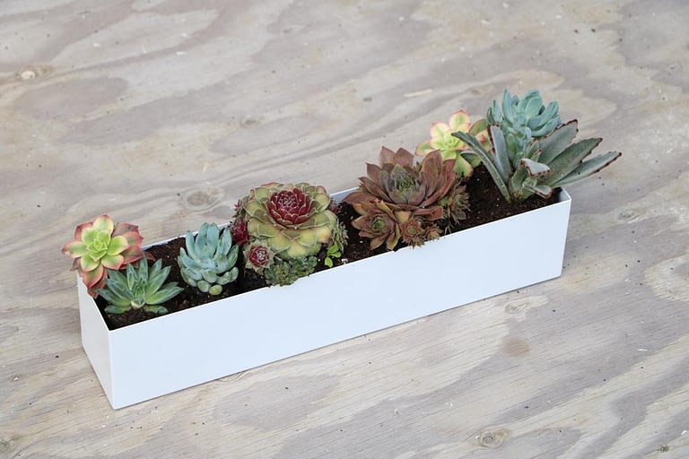 How to Create Proper Drainage for a Planter without holes? DR&Co