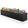 DR&Co Black Stainless Steel Rectangular Planter